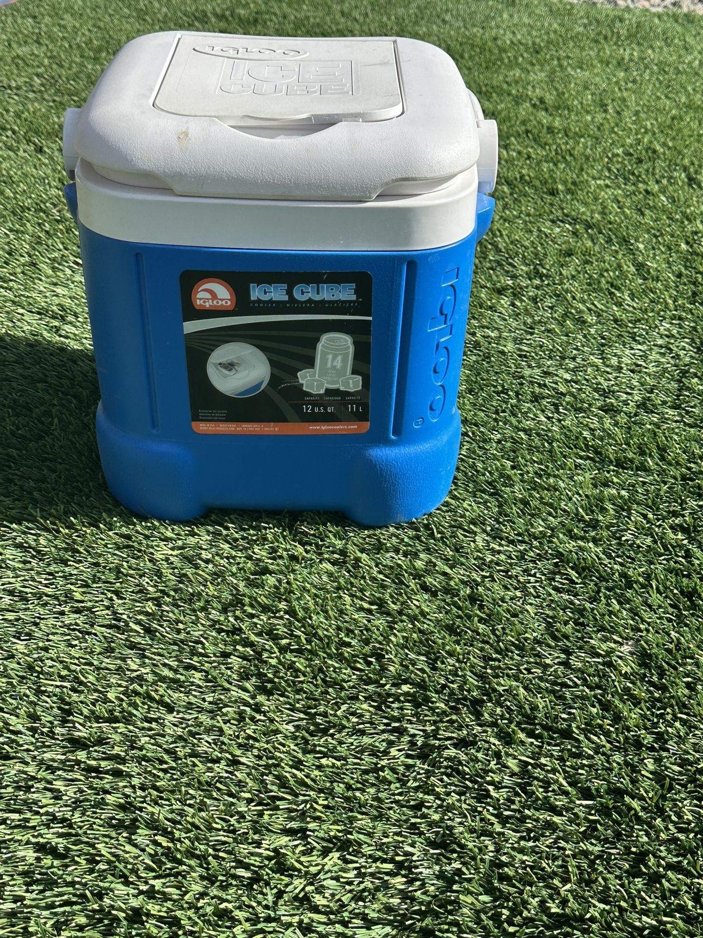 Small Ice Chest