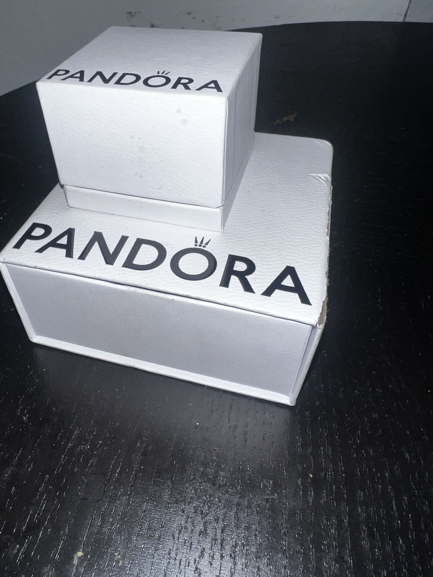 Pandora Bracelet & Charm