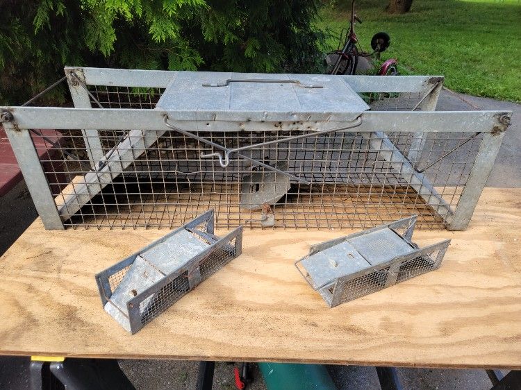 Live Animal Traps