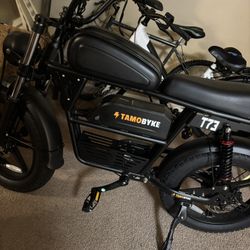Electric Bike
