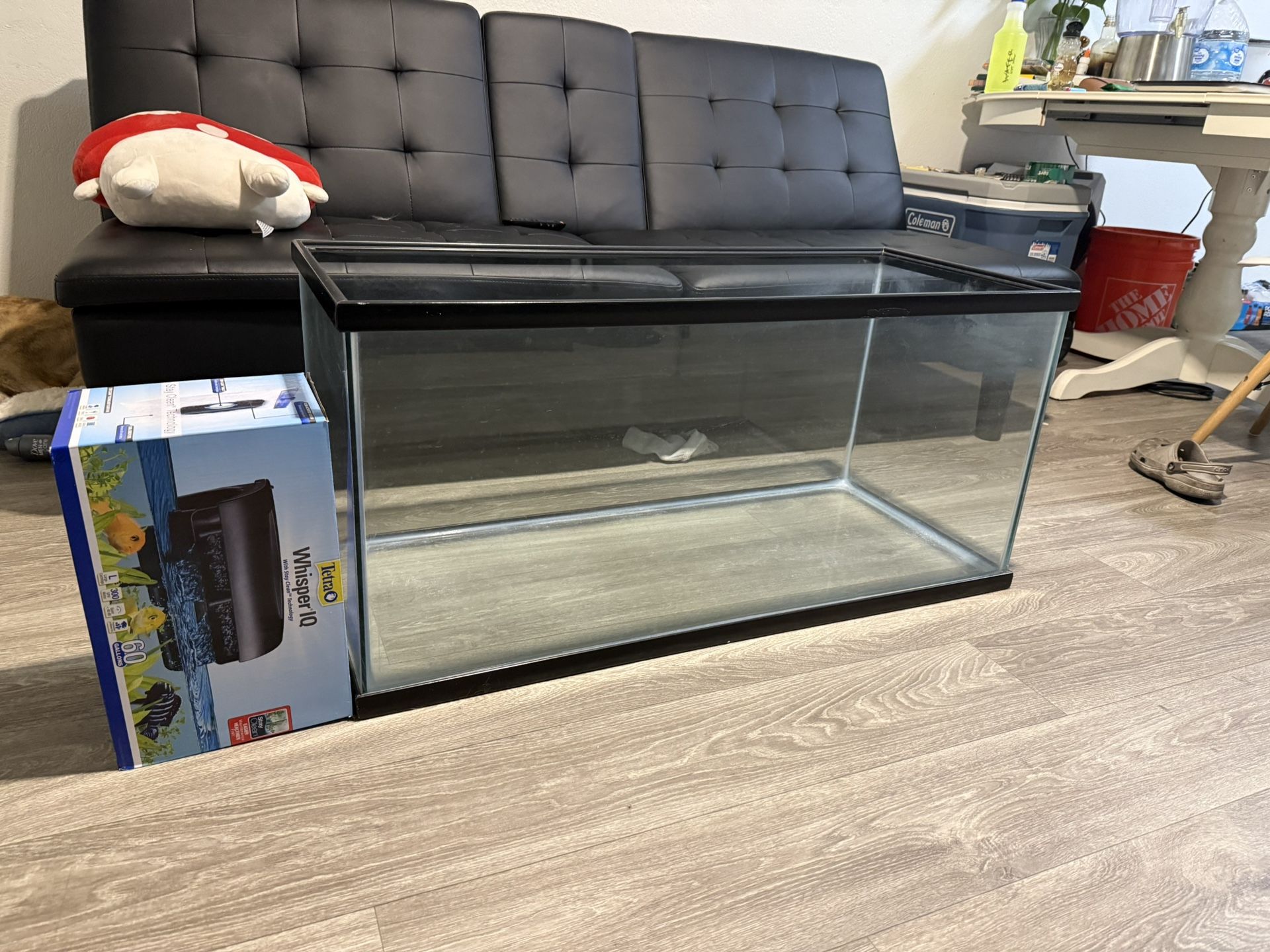 35 Gallon Fish Tank + Bran New 60 Gallon Filter Whisper IQ (Need gone asap)