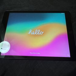 9th Generation IPad