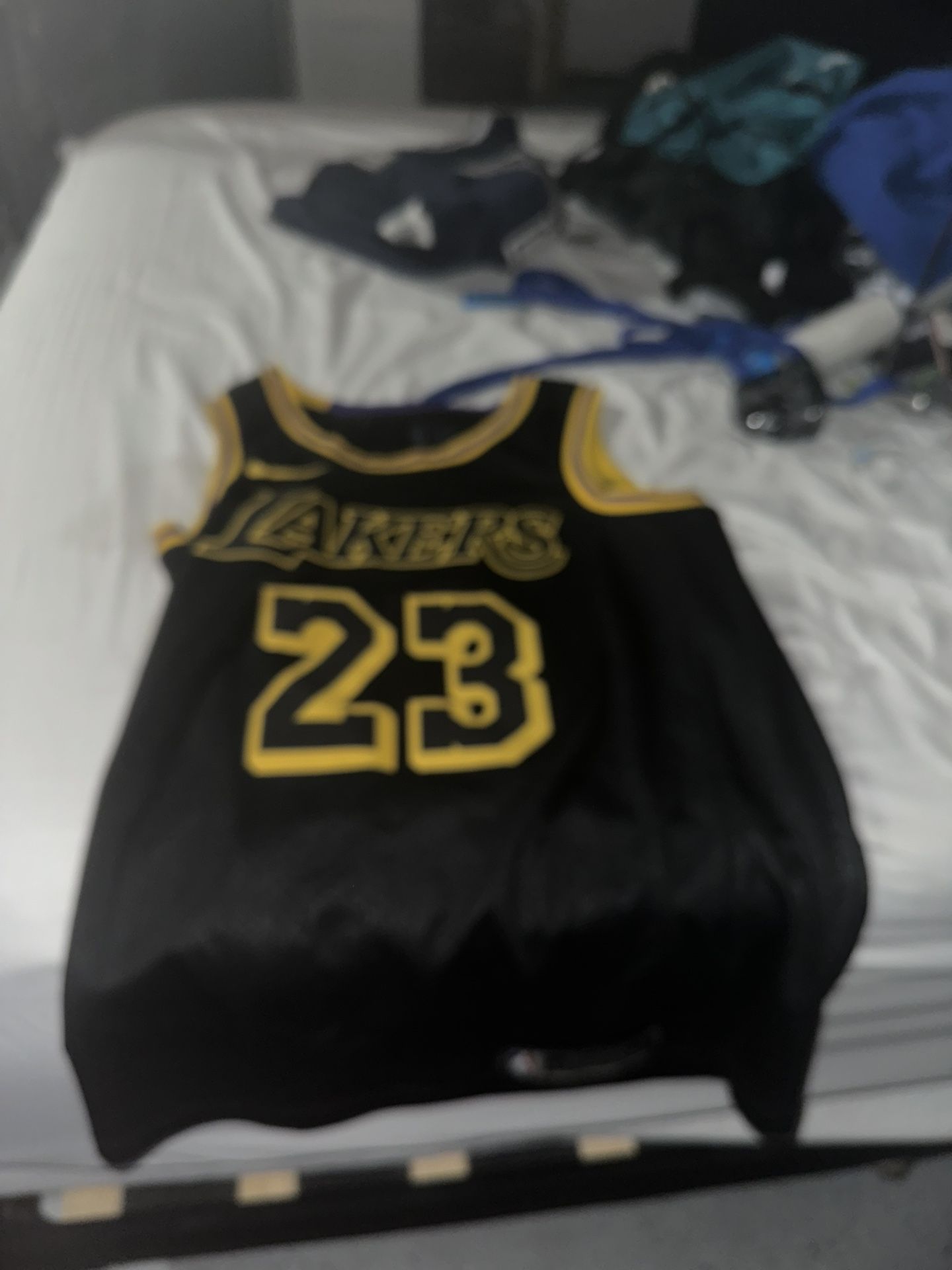 Lebron Mamba Jersey