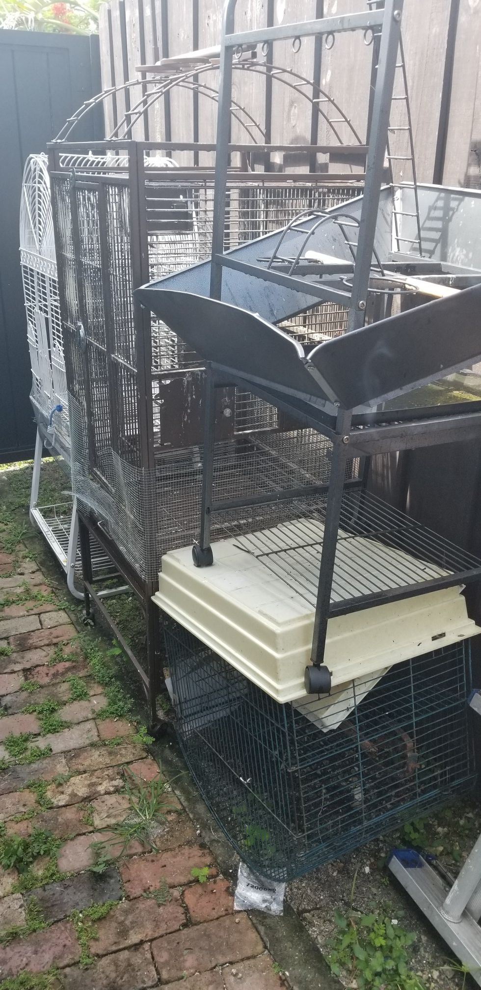 Jaulas de pajaros para venta beast offers