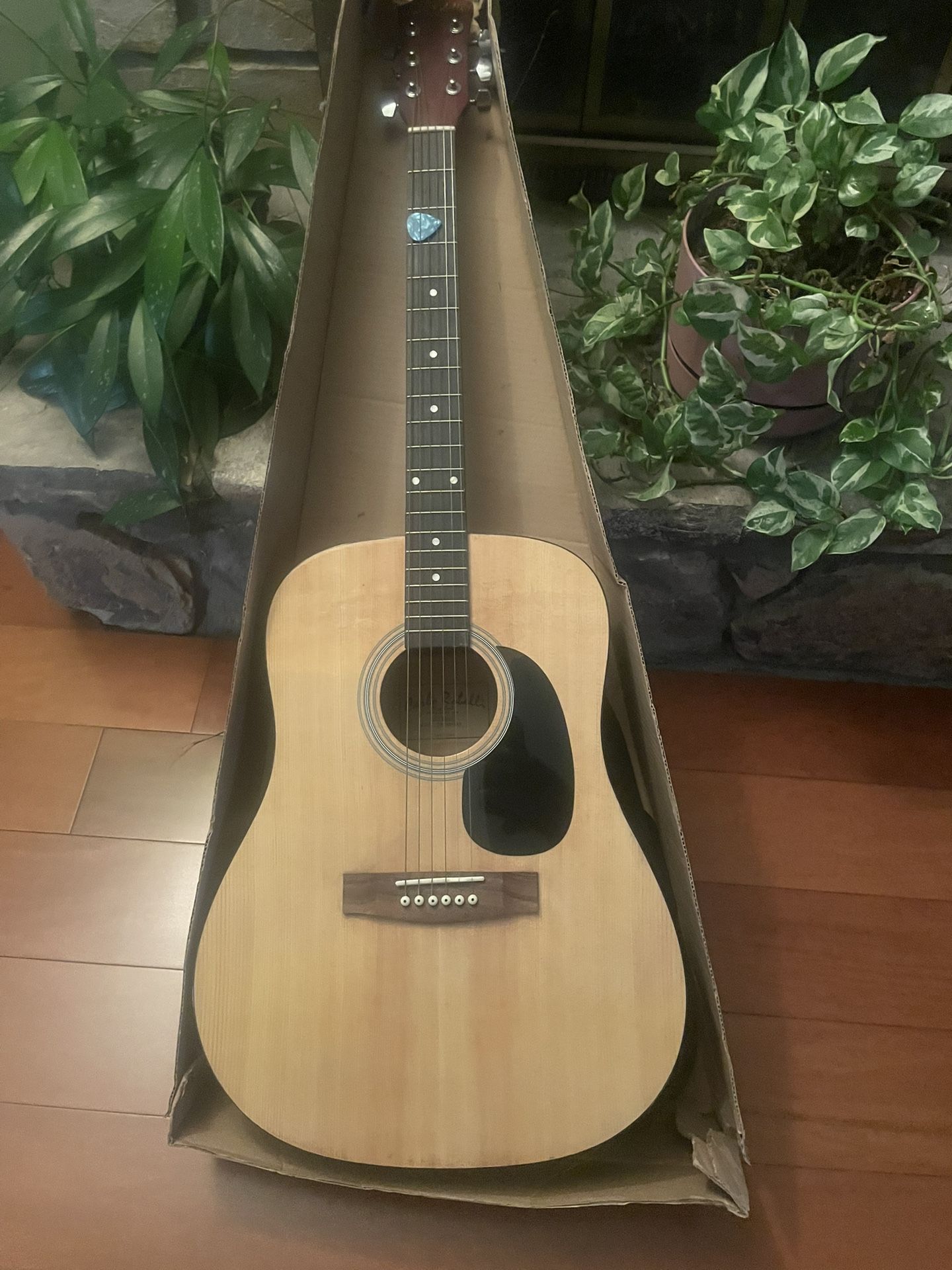 Acoustic Guitar