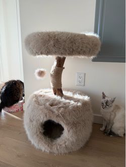 Artisan Natural Wood Branch Cat Tree with Faux Fox Fur & Large Condo for Large Cats, 29" H