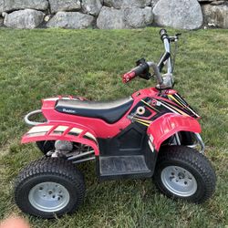 Razor Quad 36 Volts Electric With Reverse