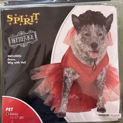 Spirit Dog Costumes 