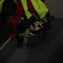 Woman's Clothing Small