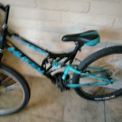 MOUNTAIN BIKE