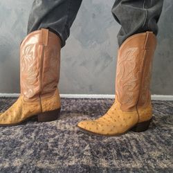 Full Quill Ostrich Boots - Botas Vaqueras De Astruvez