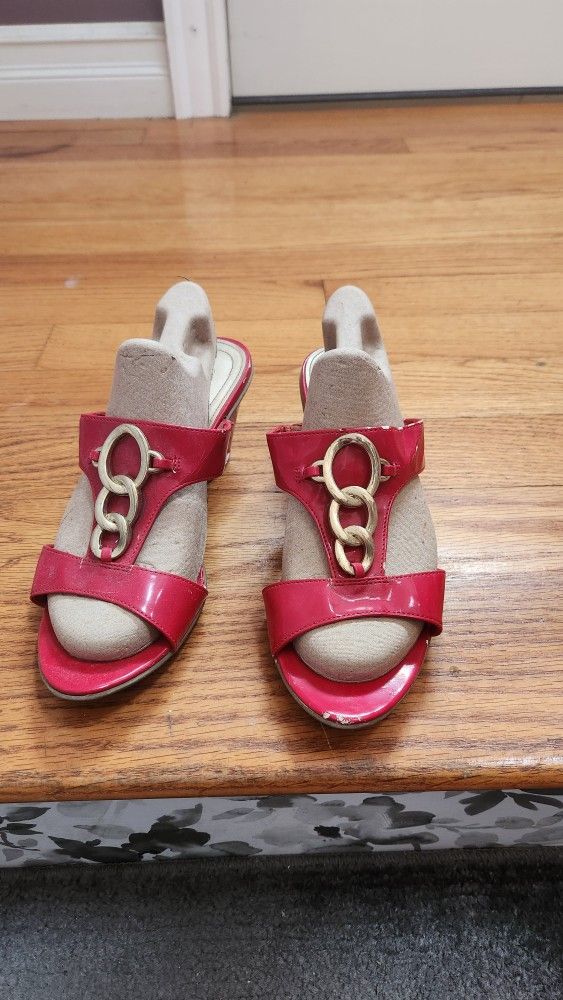 Women's Shoes & Liz Claiborne Purse