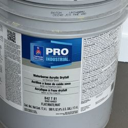 Pro Industrial Acrylic Dry fall Paint 