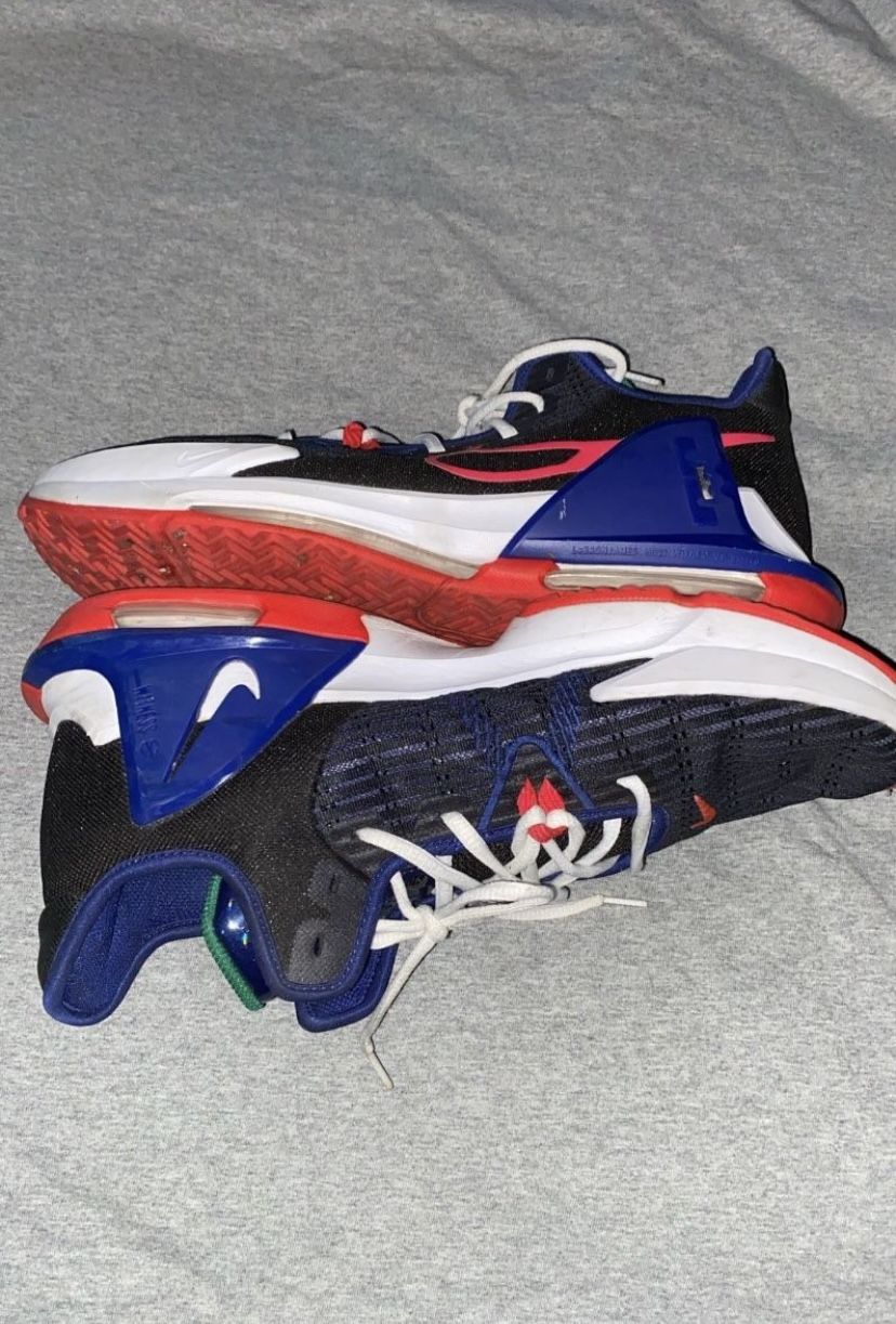 Nike Lebron Witness 6 