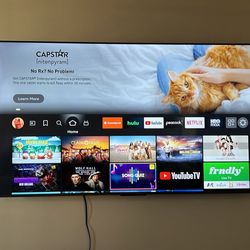 65 Inch Insignia Roku TV
