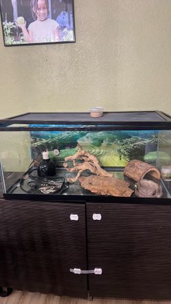 40 Gal. Tank