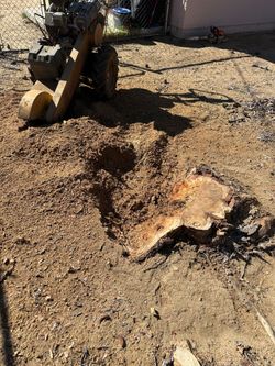 Stump Grinding