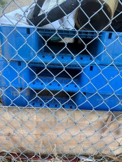 Free plastic Pallets 8