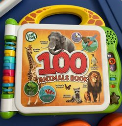 Leapfrog Interactive Books