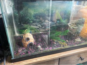 Fish tank 20” L x10”W x12”T