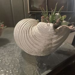 Shell Planter