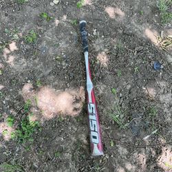 Bat