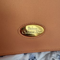 Light pearly Orange nylon clutch/makeup bag