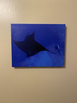 Underwater Canvas Print
