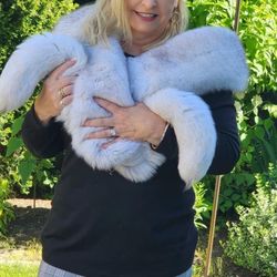 100% REAL Blue Fox Fur boa  Never Worn New Condition 