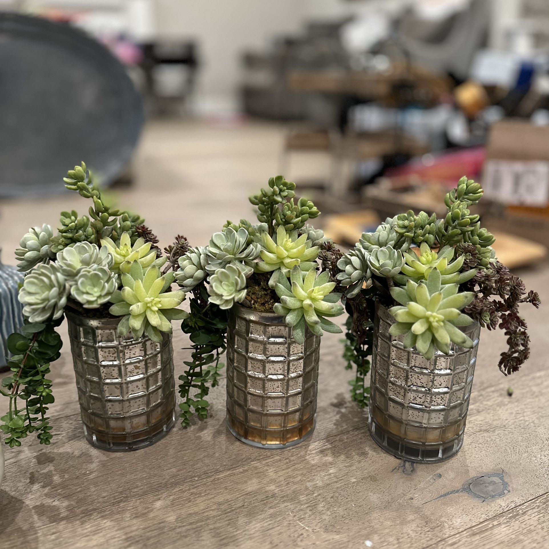 Faux Plant decor