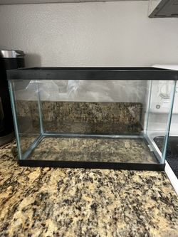 5 Gallon fish Tank