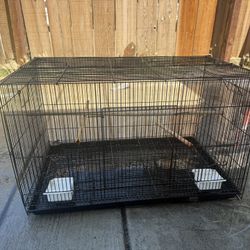 Bird Cage $50 OBO