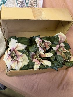 Home Interior Poinettsea