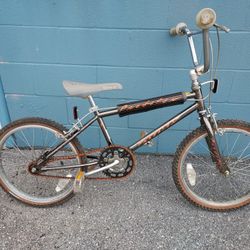 Schwinn Predator Survivor