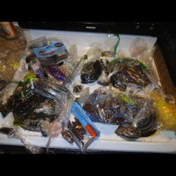 Fishing Worms. For Fishing