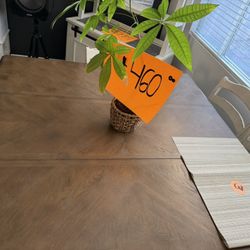 Kitchen Table W/ 6 Chairs 