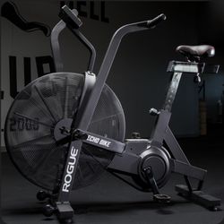 Rogue Echo Bike 