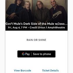 Government Mule 