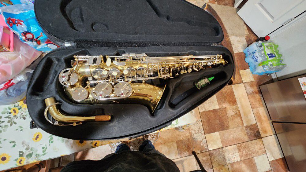 Borg Alto Saxophone 🎷 