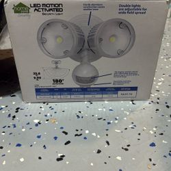 Motion Activated Security light