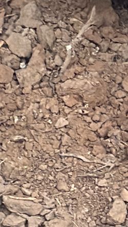 Free clean dirt dumping. I need dirt.
