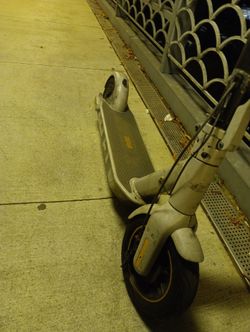 Ninebot Scooter