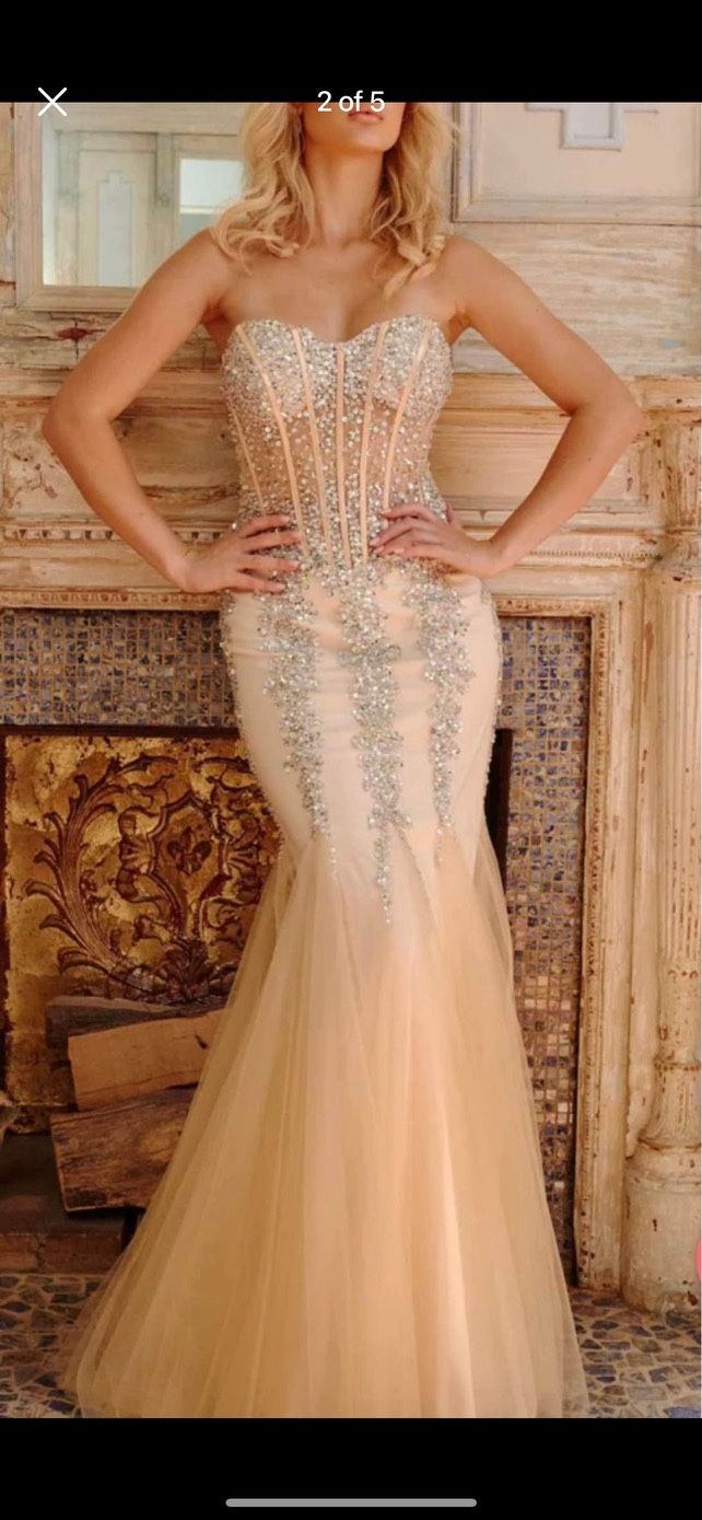 Strapless Jovani Mermaid Dress