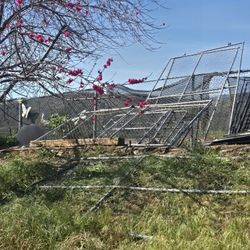 chainlink panels, dog igloo houses, automatic dog feeders, and cages ( Kennels)