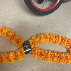 Flower for Halloween