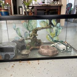 40 Gallon reptile tank