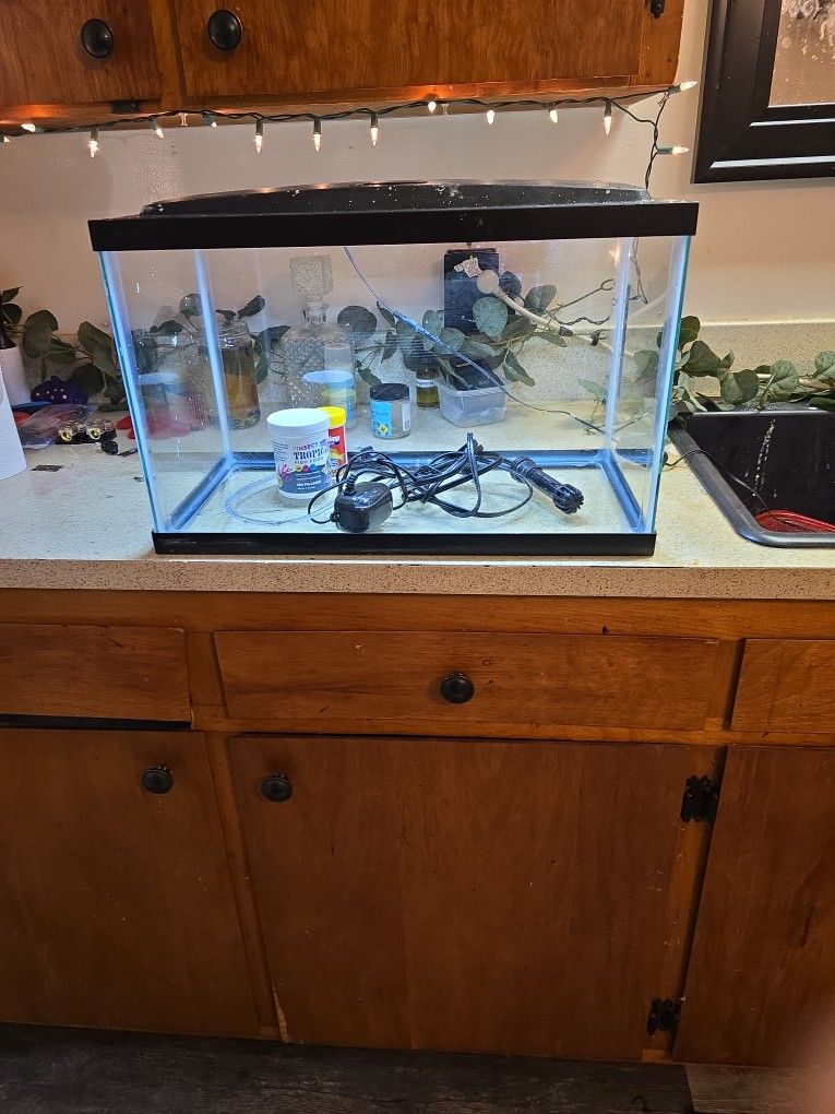 Fish Tank