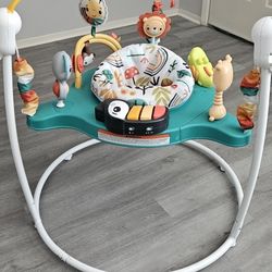 Fisher Price Bouncer