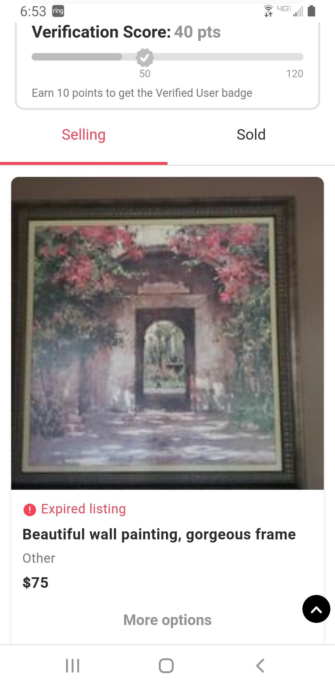 Beautiful wall art , nice frame