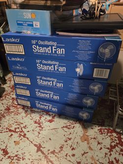 🚨 MASSIVE BASEMENT LIQUIDATION 🚨
